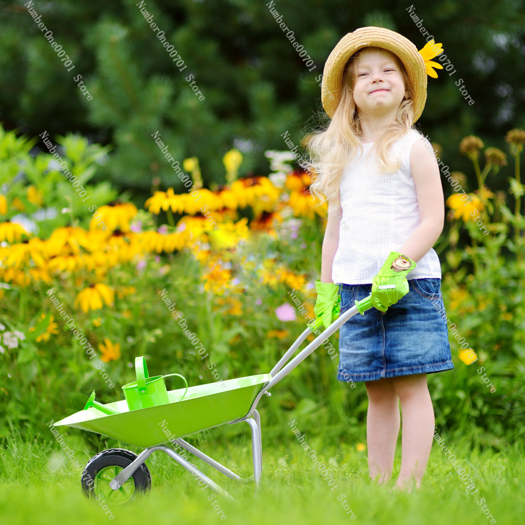 Kids Outdoor Wheelbarrow, Gree - огляд і ціна Kids Outdoor Toys