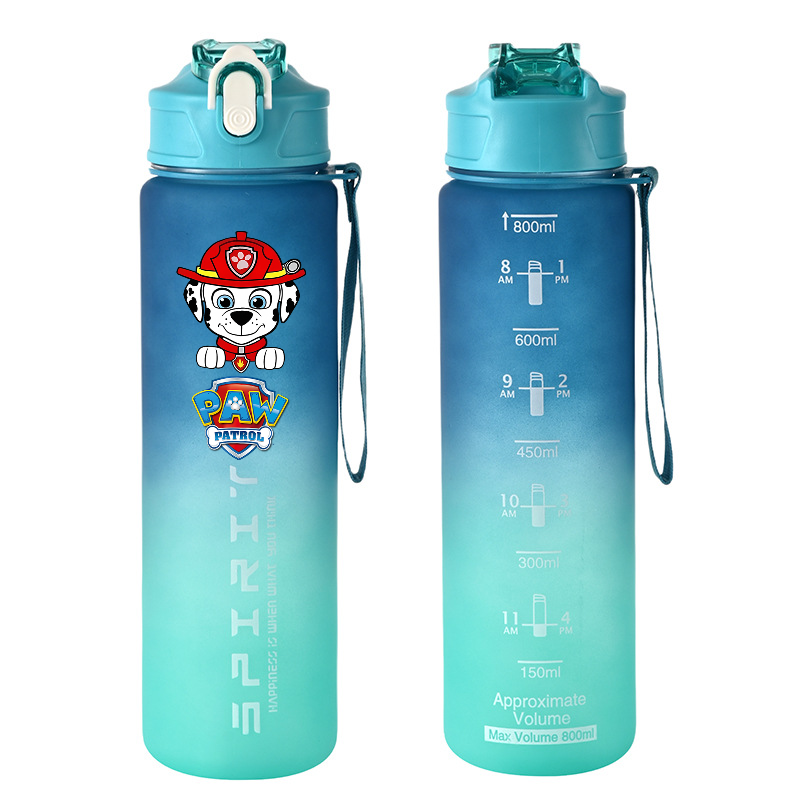 800ml PAW Patrol Sports Water  - огляд і ціна Kids Outdoor Mud Kitchen Accessories